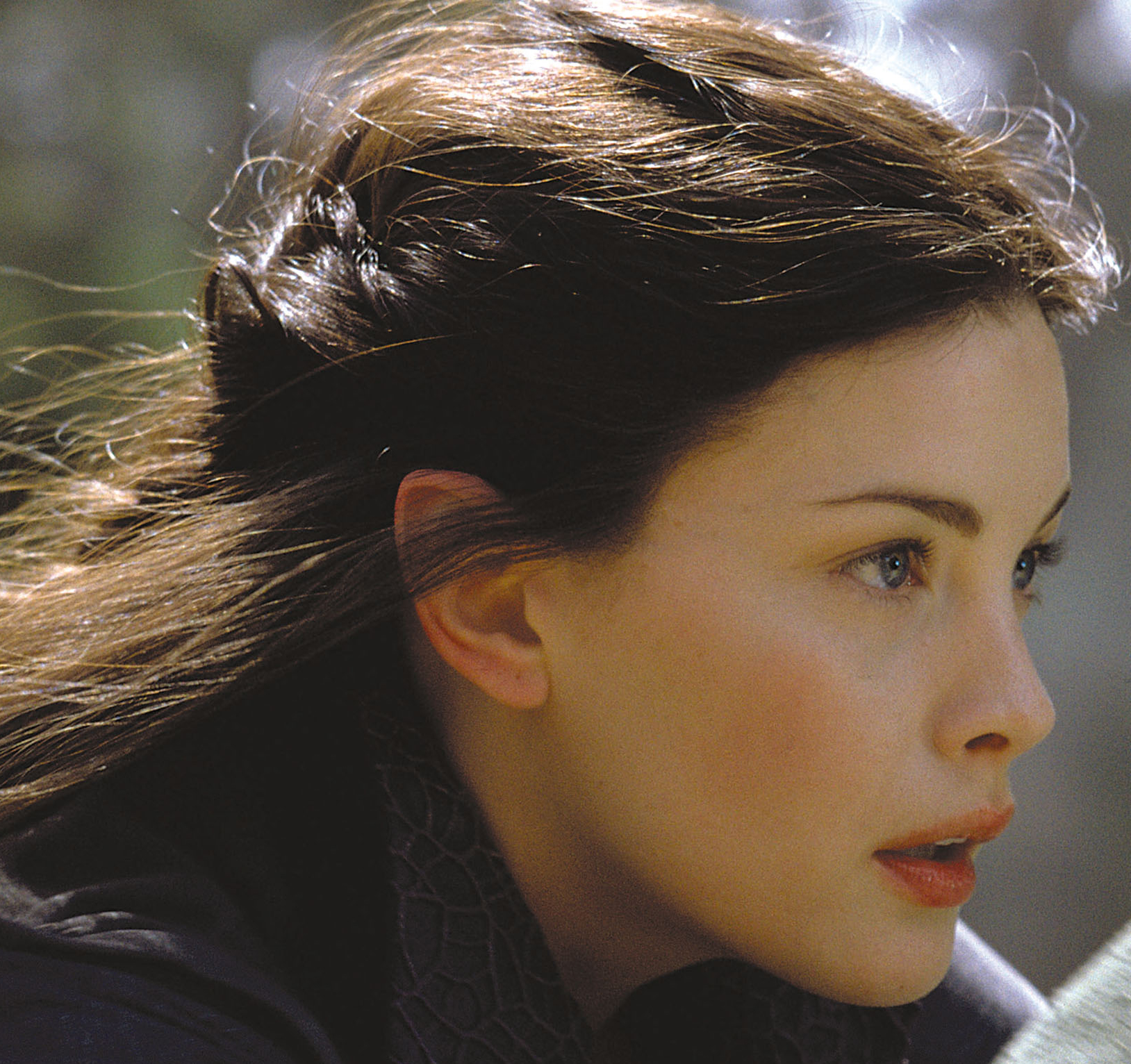 Arwen, Lord of the Rings  Always wanted to look like her!